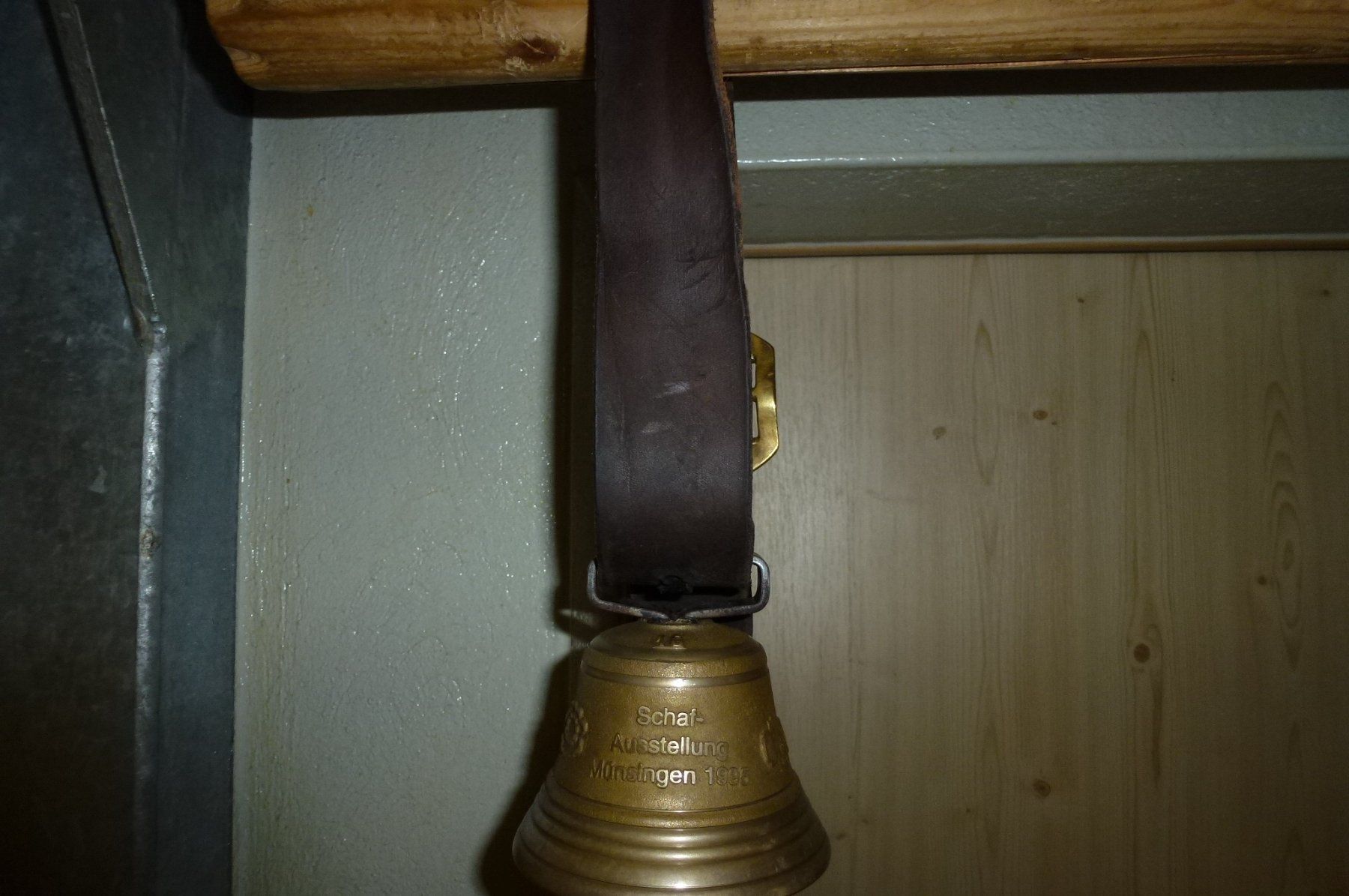 Campanacci mucche: Glocke – Usato da Bürglen UR venduto da daisyxy5 2
