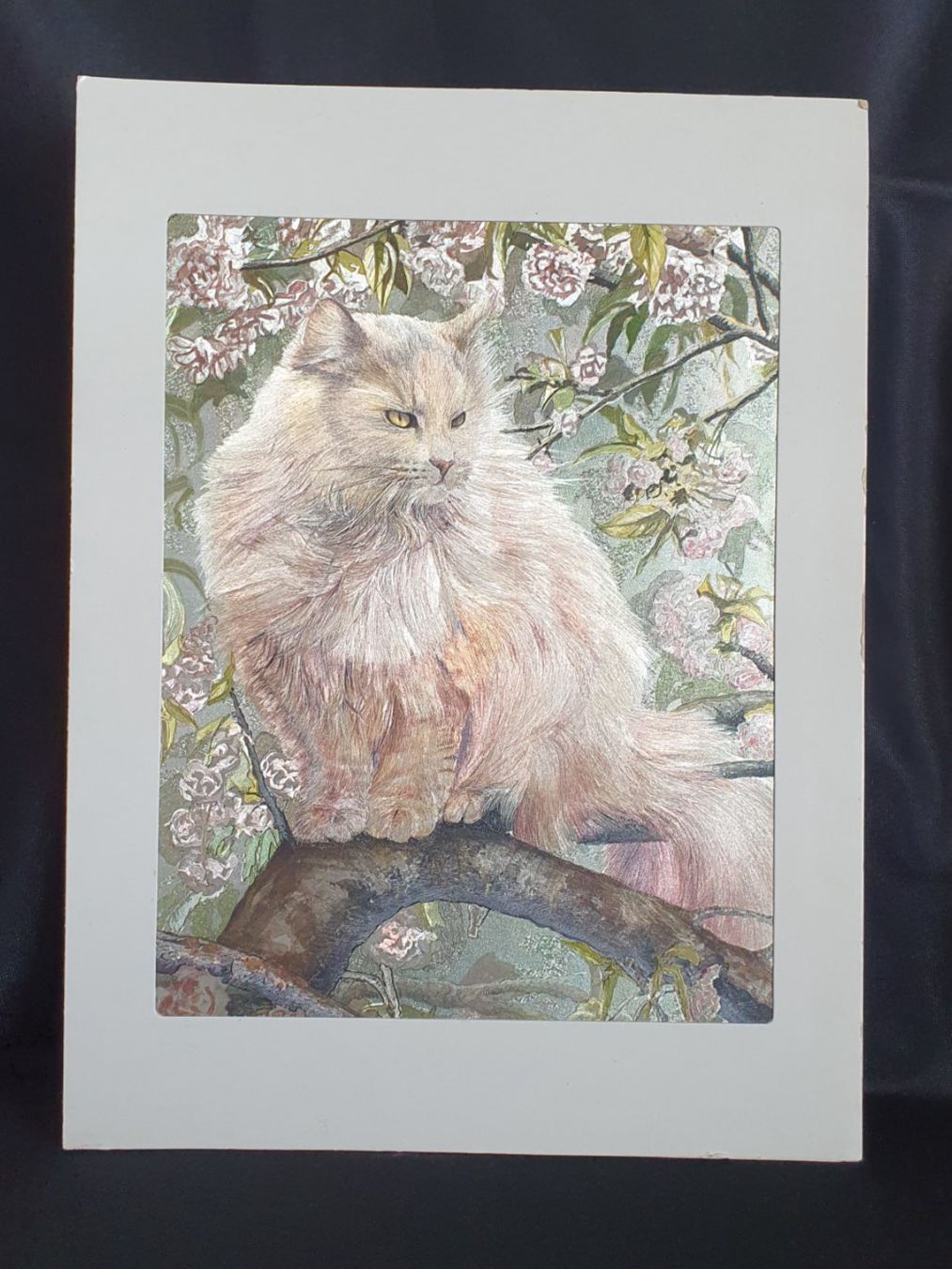 Posters & Illustrations: Metallic Effekt Bild Katze auf Ast mit Kirschblüten – D'occasion à Alterswil FR par Maylea01 1