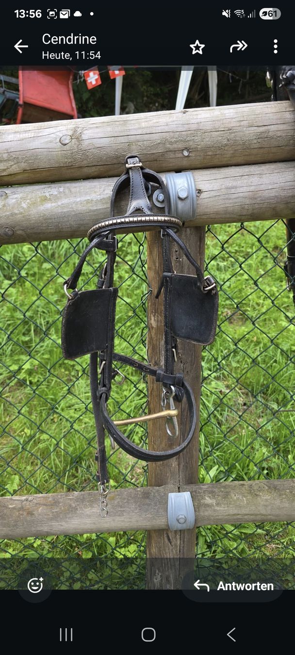 Briglie & Cavezze: 2 Colliers grisonnais rouges pour poneys – Usato da Herrliberg venduto da revelune 1