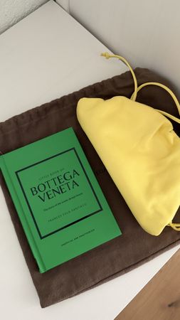 Bottega Veneta The Mini Pouch