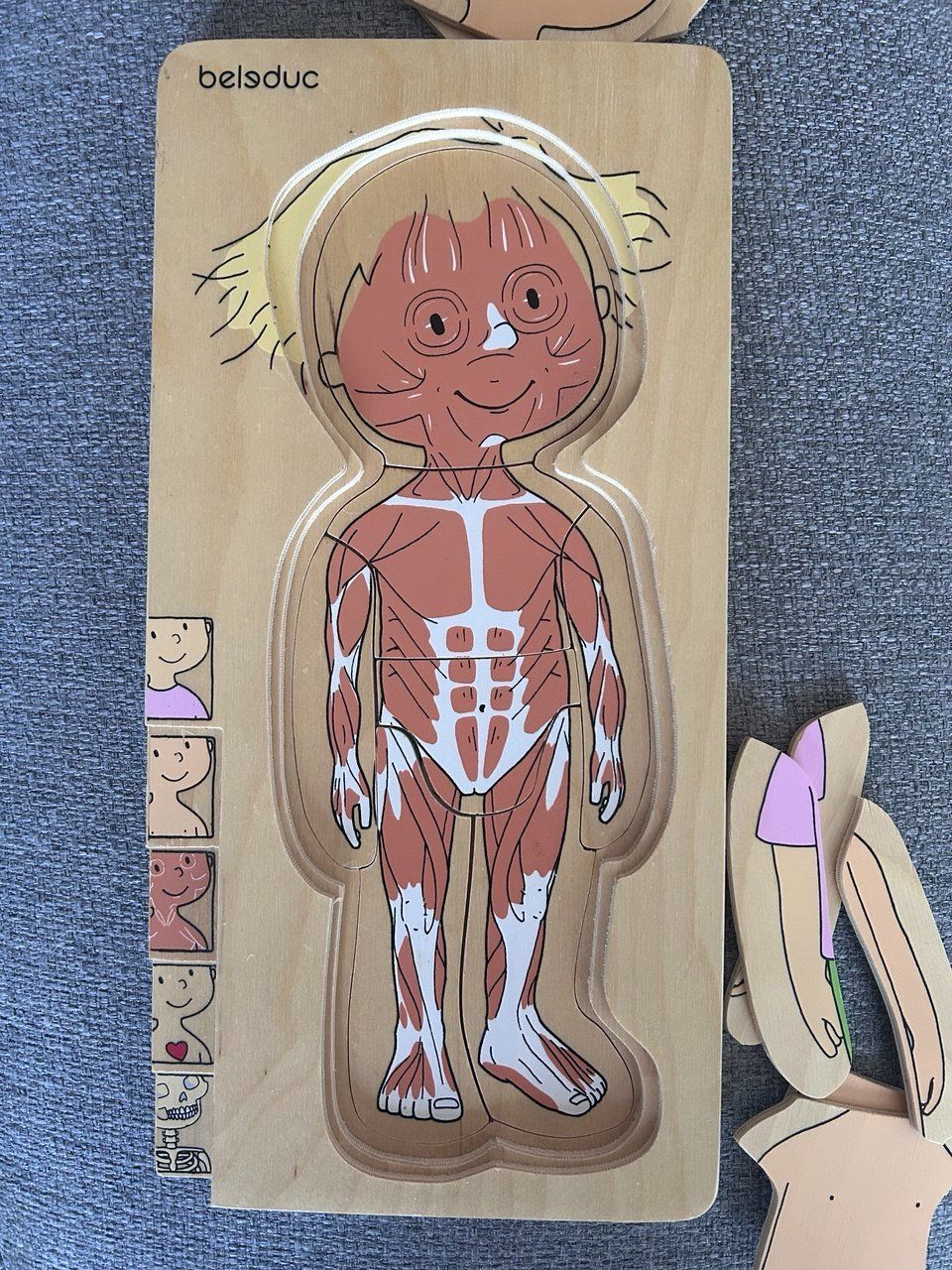 Puzzle: Body Puzzle di Beleduc – Usato da Giubiasco venduto da LorisVale 1