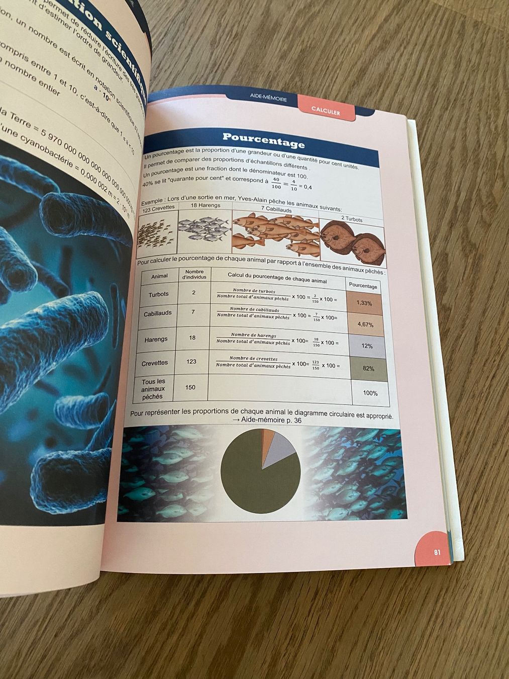 Libri: Aide mémoire de sciences 9-11h – Usato da Delémont venduto da Petitlutin 2