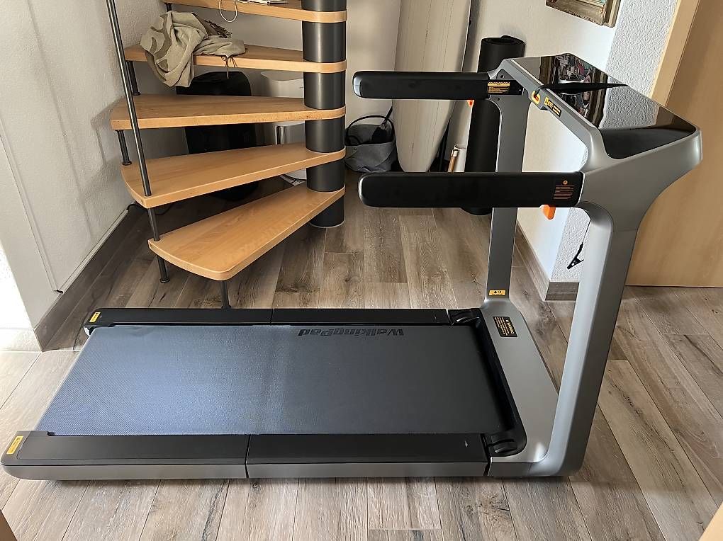 Kingsmith Hometrainer: Tapis de course King Smith X218 – Usato da Sergey venduto da ced_77mm