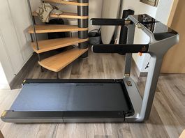 Tapis de course King Smith X218