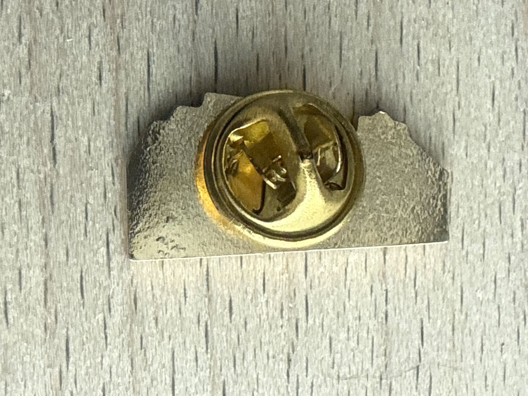 Placchette & Badge: Pin – Usato da Glattbrugg venduto da Schweigmatt 1