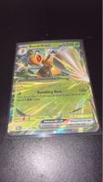 Pokémon Beedrill EX 310 HP 