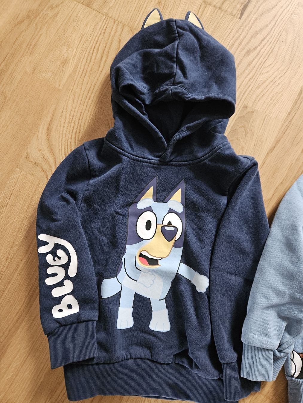 C&A Maglioni & Felpe: 2 Kapuzenpullover, C&A, Gr. 98 (92): Bluey & Mickey Mouse – Usato da Bern venduto da Oloui 1