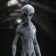 Profile image of Aphophys
