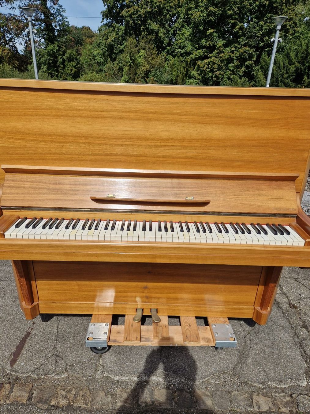 Strumenti musicali: C. Bechstein Klavier - Berlin, - Ref. 08/26 – Usato da Au ZH venduto da BrockiAu 4