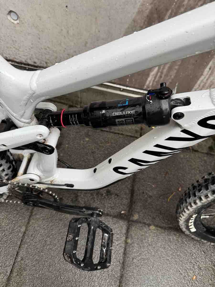 Canyon Biciclette: Canyon Spectral 5 Grösse M – Usato da Zürich venduto da cwaldvogel 6