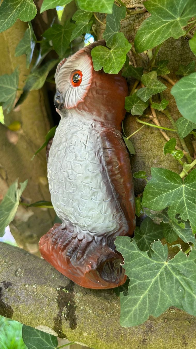 Statuette: Vintage ZEHO Gartenfigur Eule Uhu, 23 cm – Usato da Zürich venduto da brazerola 1