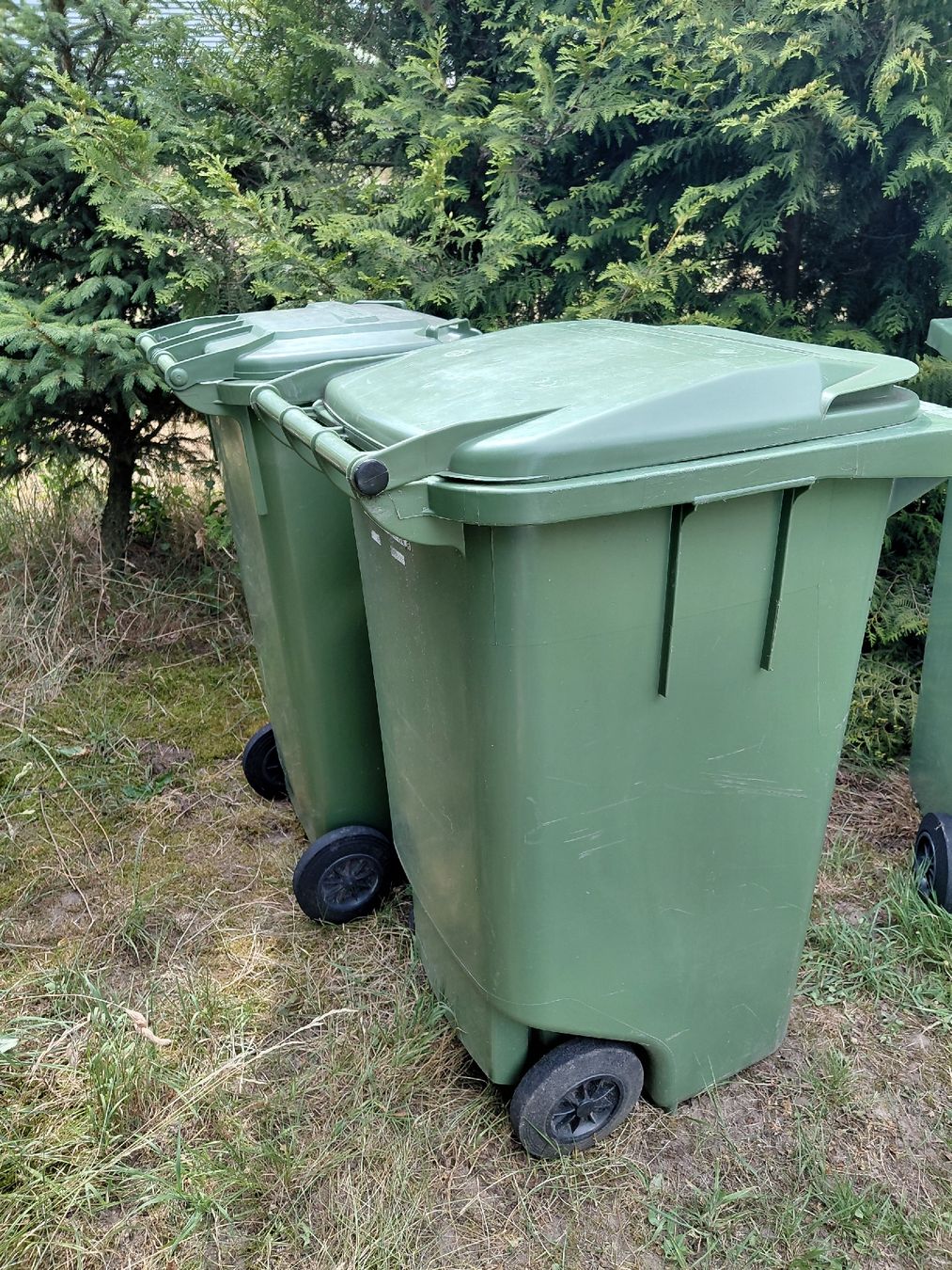Altro per Ufficio & Commercio: 2Grüncontainer 240 und 120 lit – Usato da zuchwil venduto da parson65