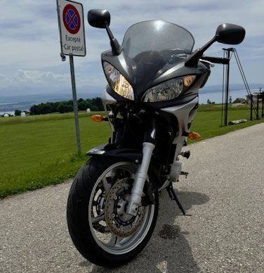 Yamaha Strada: Yamaha FZS 600 – Usato da Enges venduto da Pierrot50 3