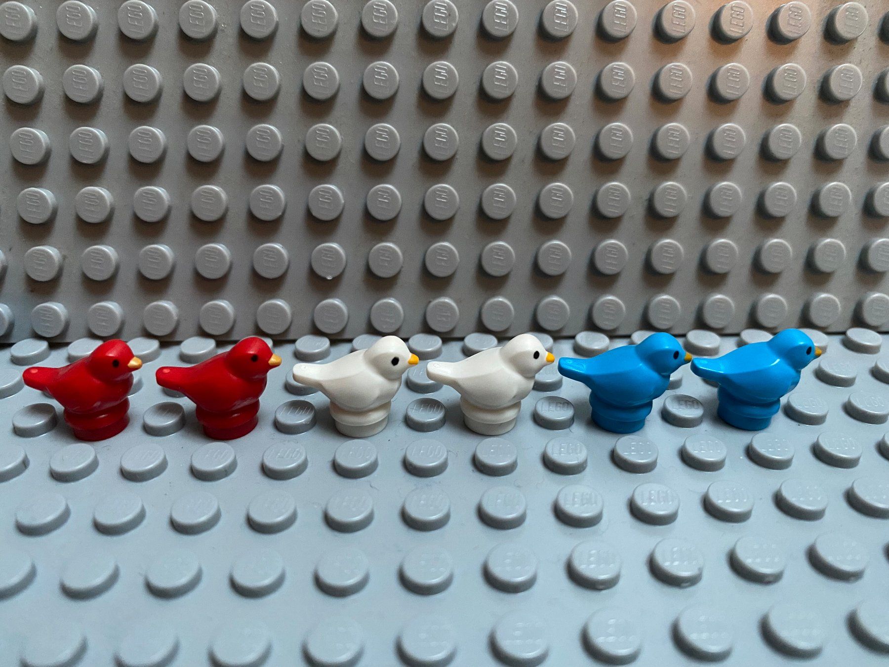 Lego Baukästen: Lego Tiere - diverse Vögel – Neu (gemäss Beschreibung) aus Horw von G39517sG 1