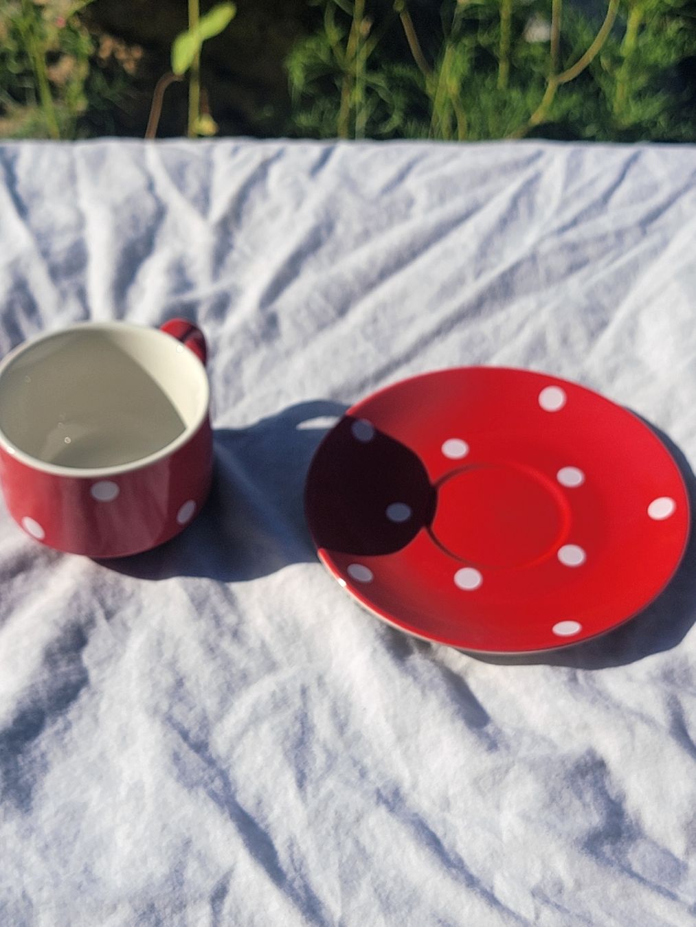 Rössler Tassen: Tasse mit Teller, Rössler – Gebraucht aus Sils im Domleschg von platin01 4