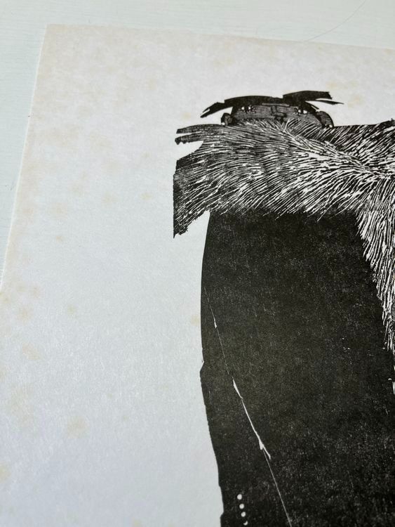 Xilografie: WERNER HOFMANN HOLZSCHNITT SIGNIERT NUMMERIERT – Usato da Gersau venduto da grafik-kunst 7