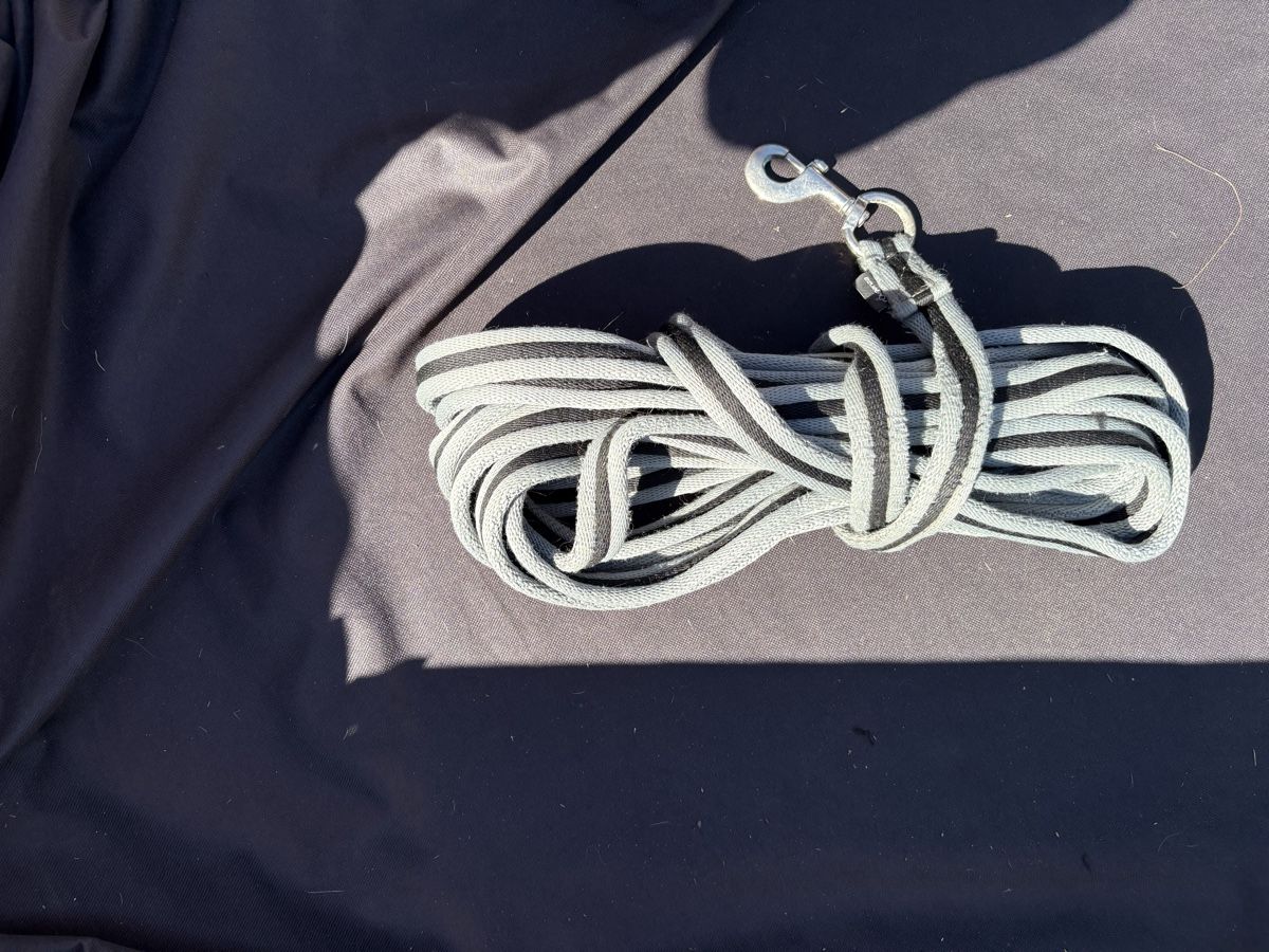 Brides, licols: Longe ca. 6m – D'occasion à Binningen par chi_n7g2
