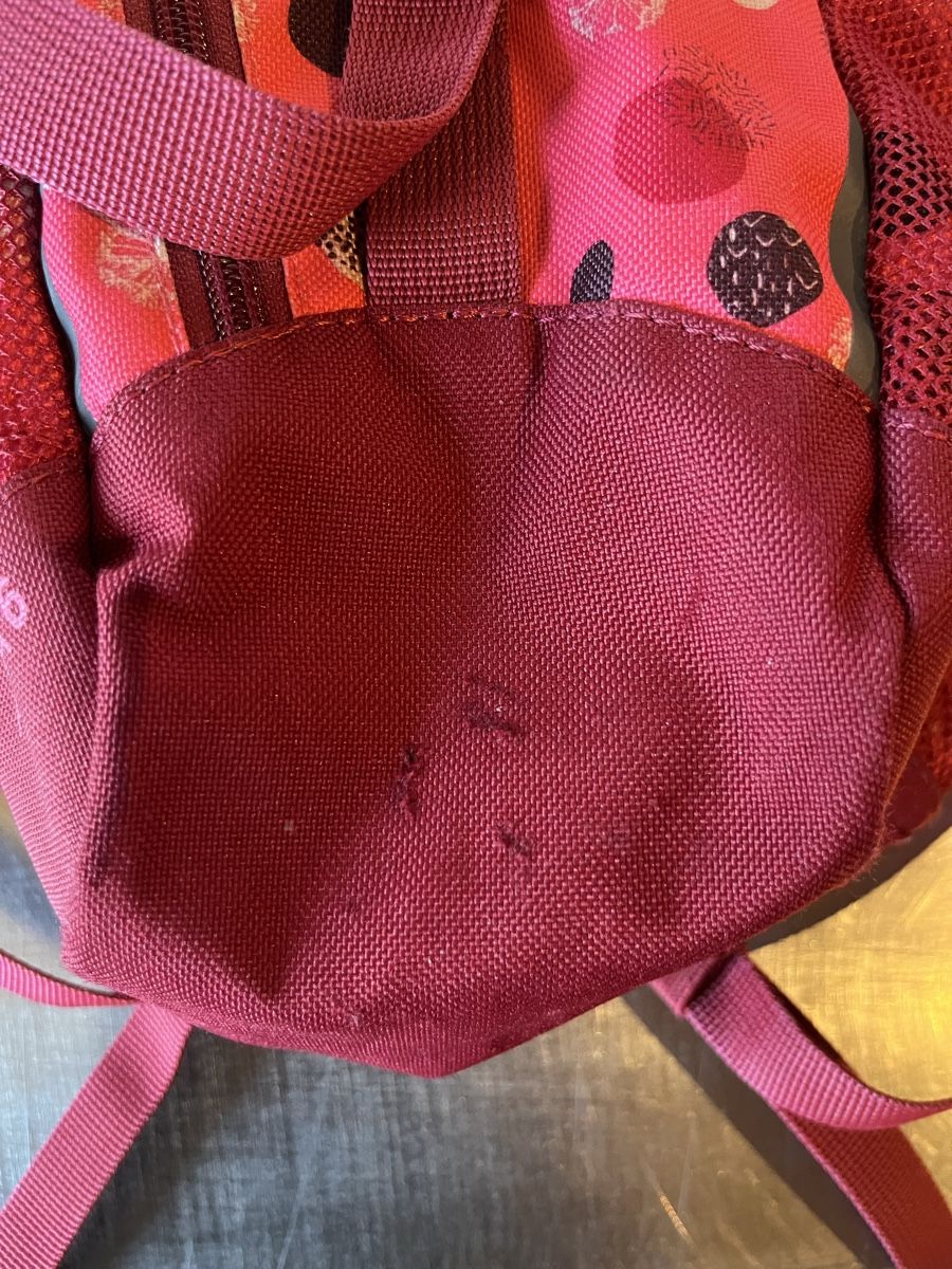 Borse & Zaini: Kinder Rucksack Vaude Ayla 6 – Usato da Pany venduto da Kiwigirl55 2