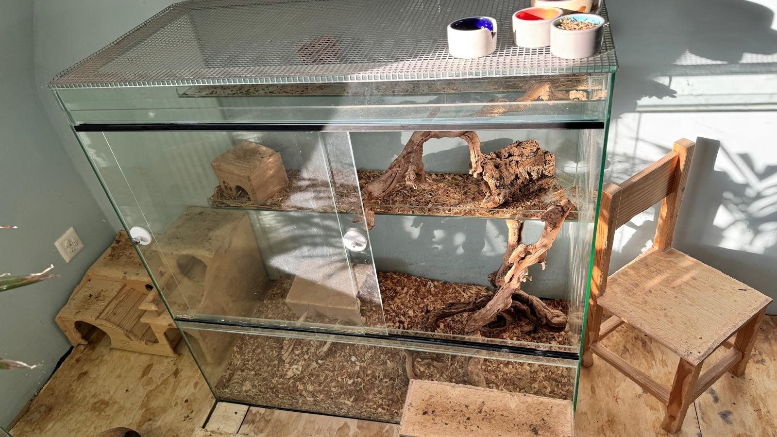 Terrarium: Nager-Terrarium mit Aussengehege – Gebraucht aus Zürich von charismatic74 2