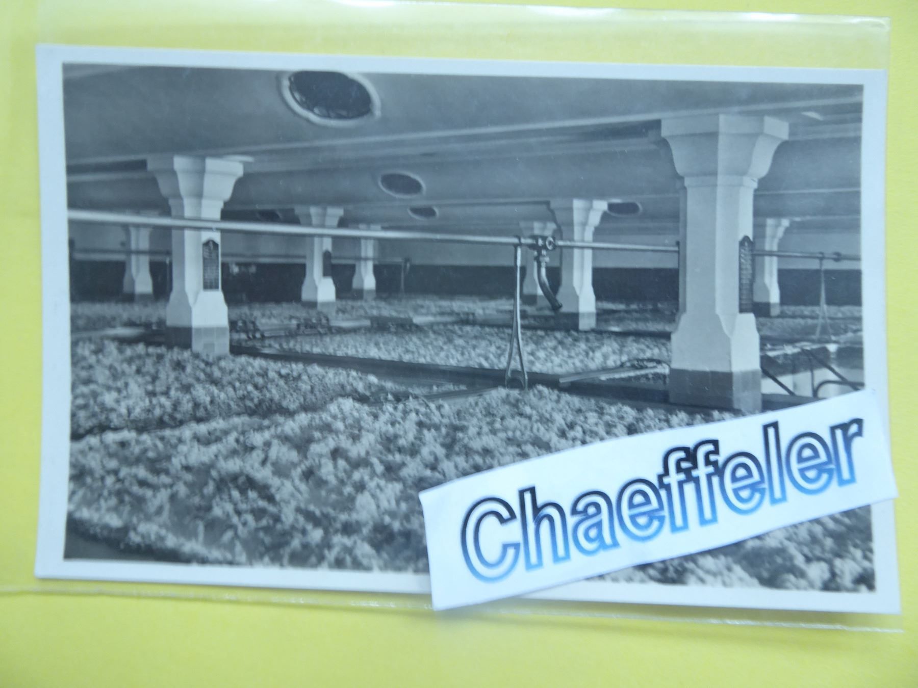 Ansichtskarten: Rheinfelden, Brauerei Feldschlösschen – Neu (gemäss Beschreibung) aus Zürich von Chaeffeler