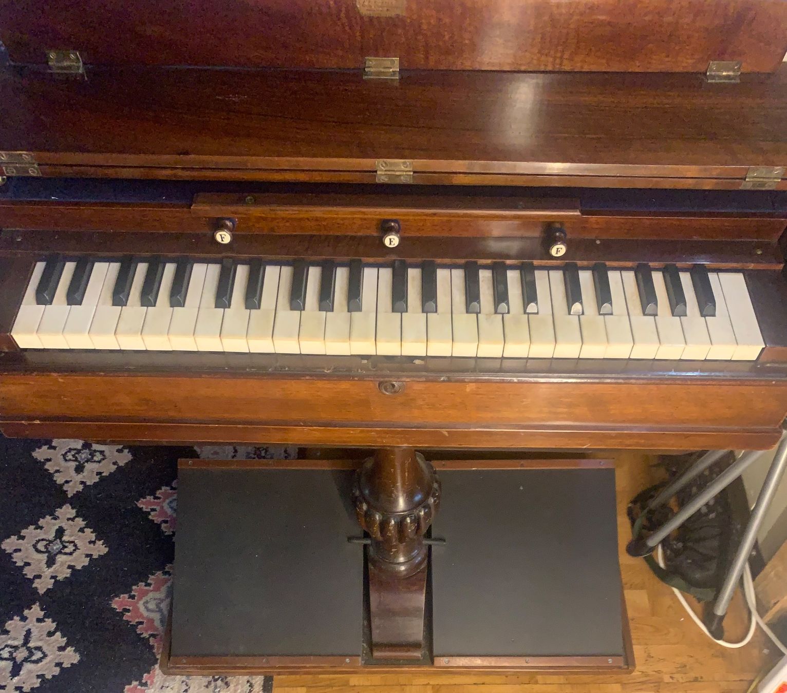 Strumenti musicali: Antikes Reise Harmonium  Physharmonika – Usato da Grabs venduto da mayram27 5