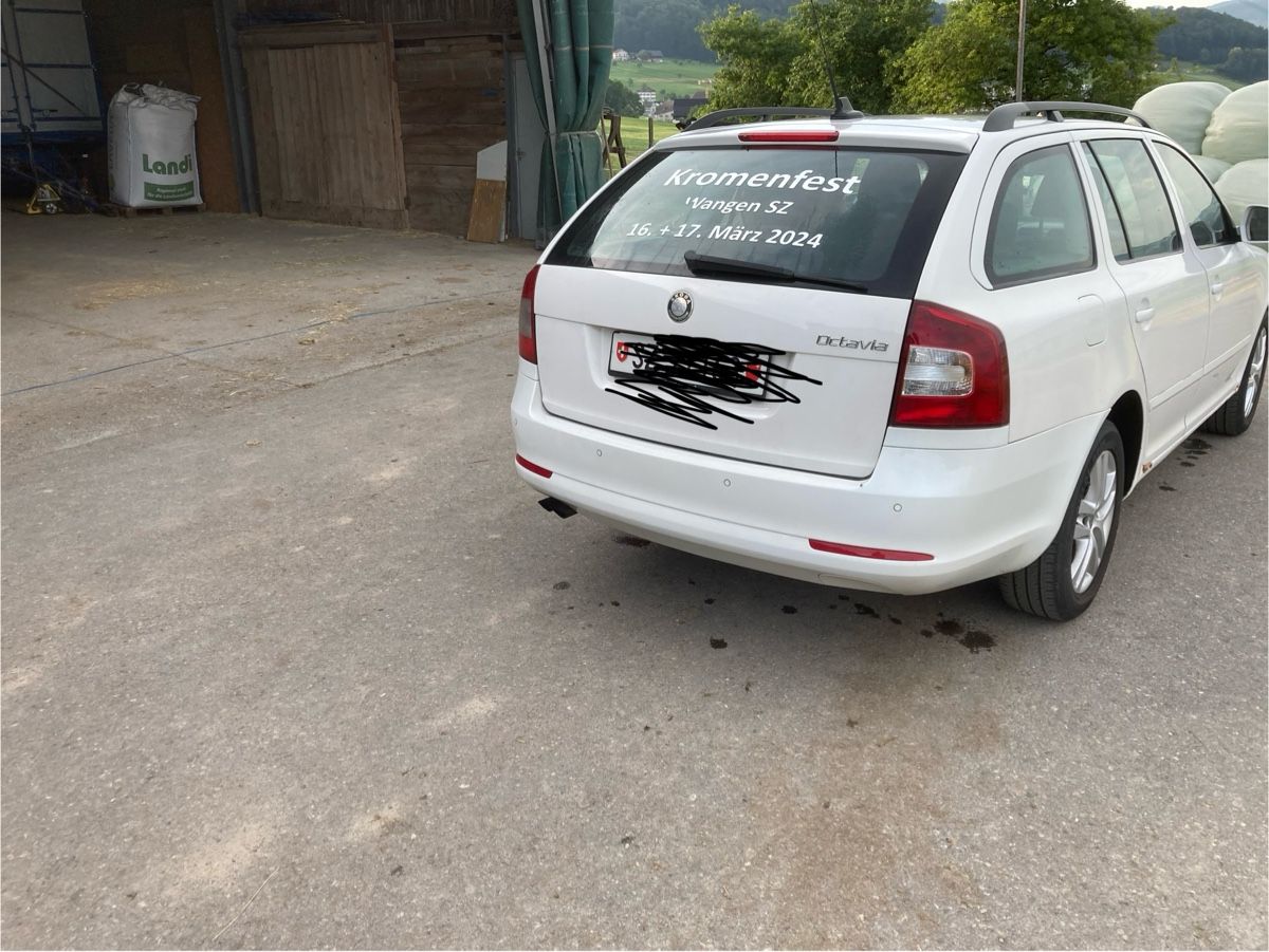 Skoda Automobili: Skoda Octavia 2,0 Tdi 4x4 – Usato da Tuggen venduto da Roman056 4