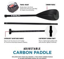 SUP Cabon paddle / Pagaie SUP en carbone