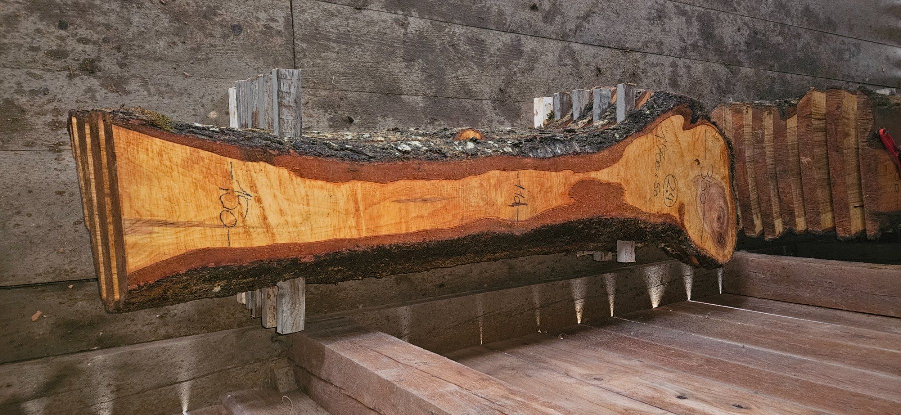 Articoli in legno: Kirschbaumbretter – Nuovo (secondo la descrizione) da Vielbringen Worb venduto da lua_cm7v 4