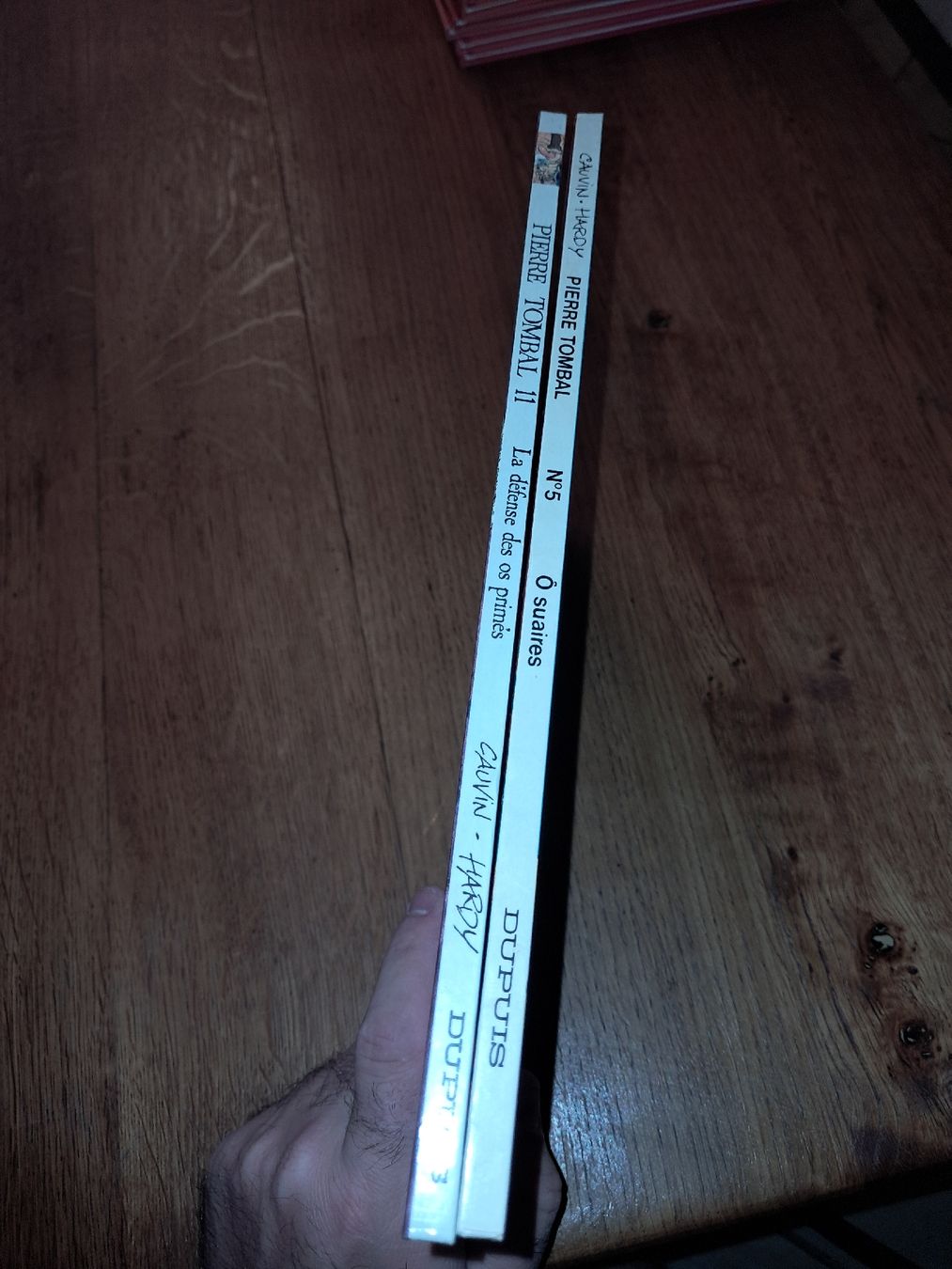 Fumetti: Lot de 2 Bd Pierre Tombal – Usato da Le locle venduto da juliensaran 2