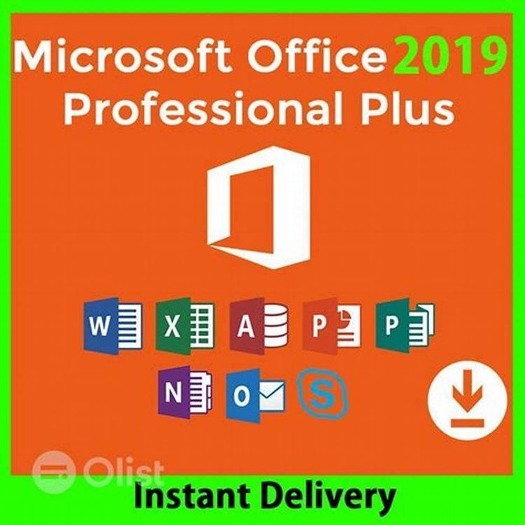 Microsoft Office 2019 Professional Plus fuer 3 PC binded Key (Gebraucht ...
