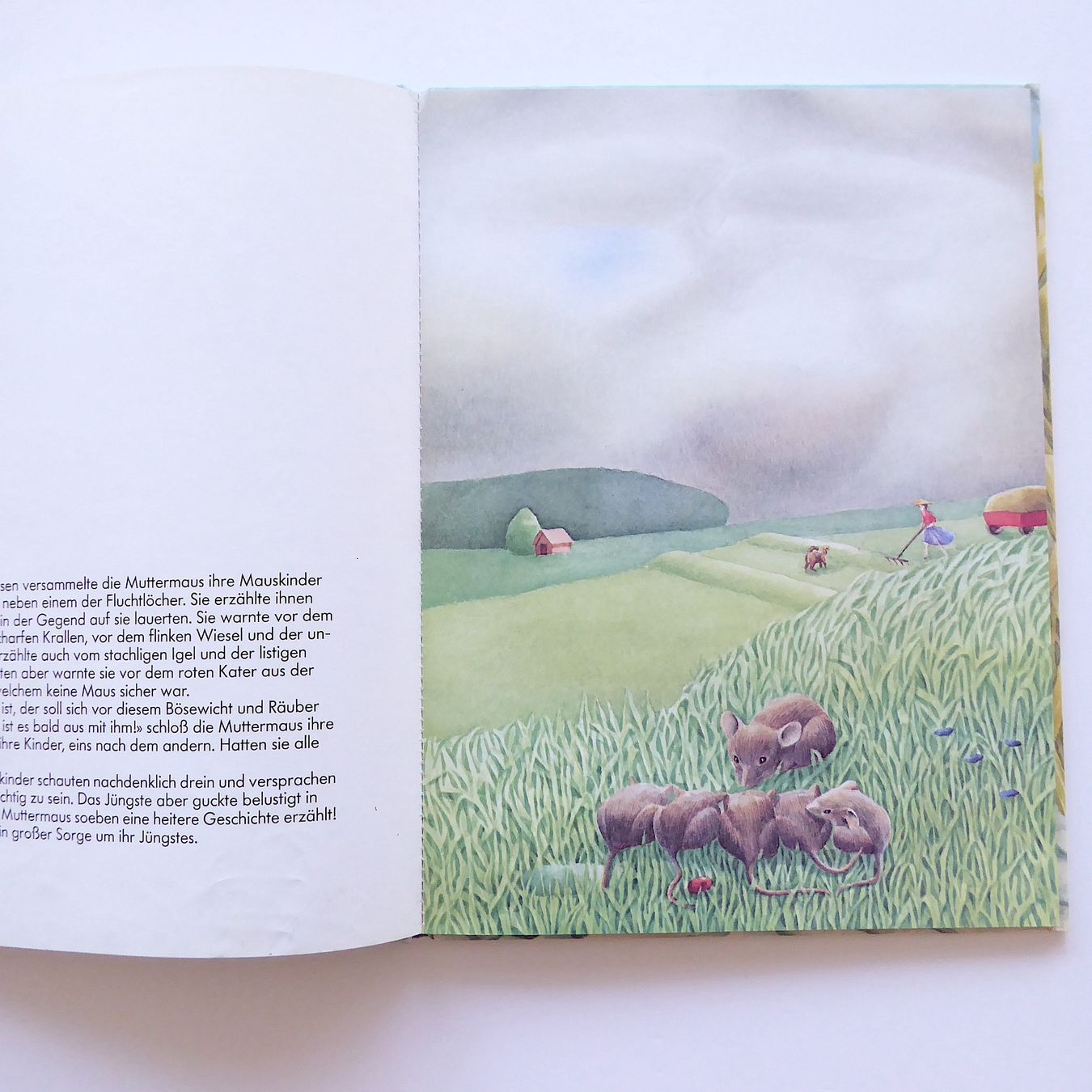 Libri: Die Maus, die an das Gute glaubte – Usato da Basel venduto da Kunterbunt12 2