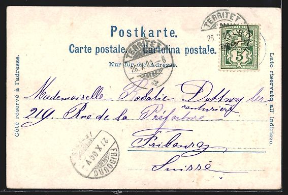 Cartoline postali: Litho Genève, Panorama et le Mont-Blanc – Usato da Berlin venduto da bartko-reher 1
