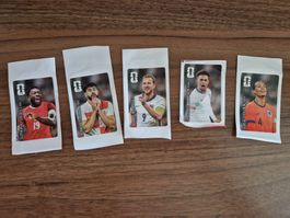 Panini Cocacola Sticker