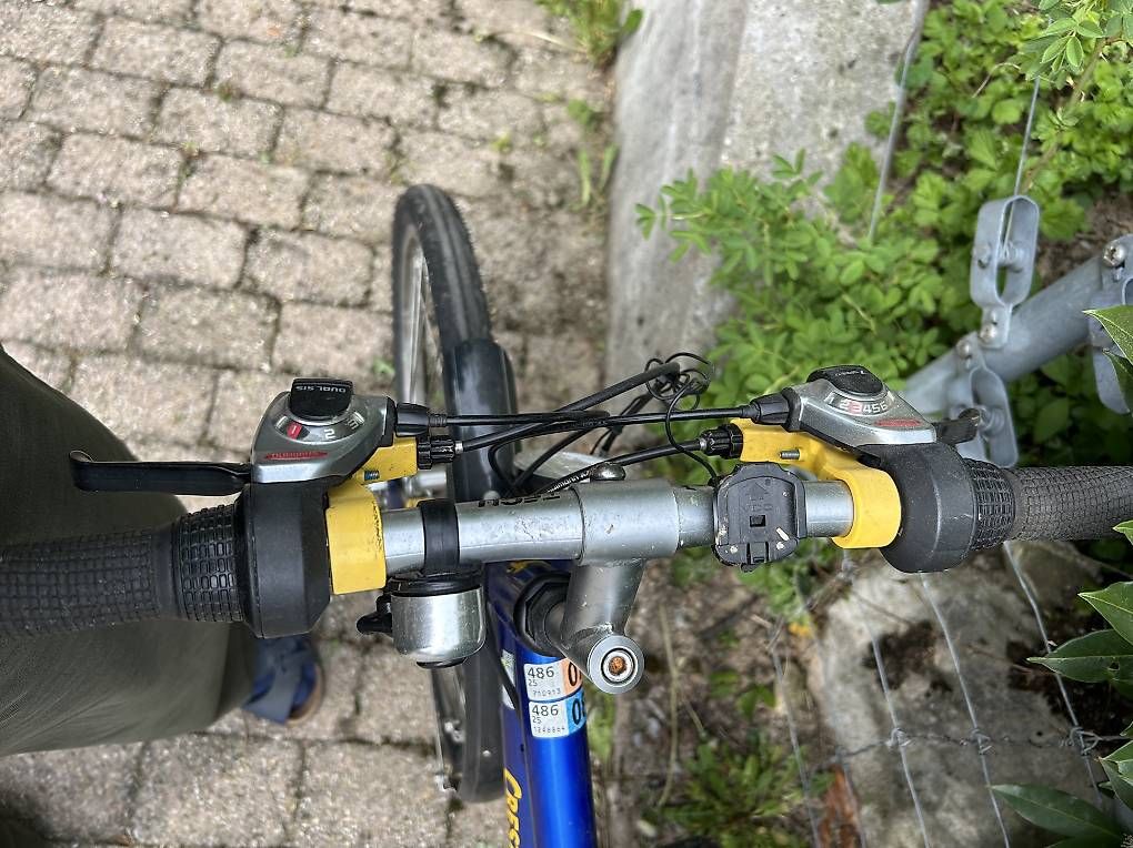 Biciclette: Kinderfahrrad 24 Zoll – Usato da Flawil venduto da chelsea011 1