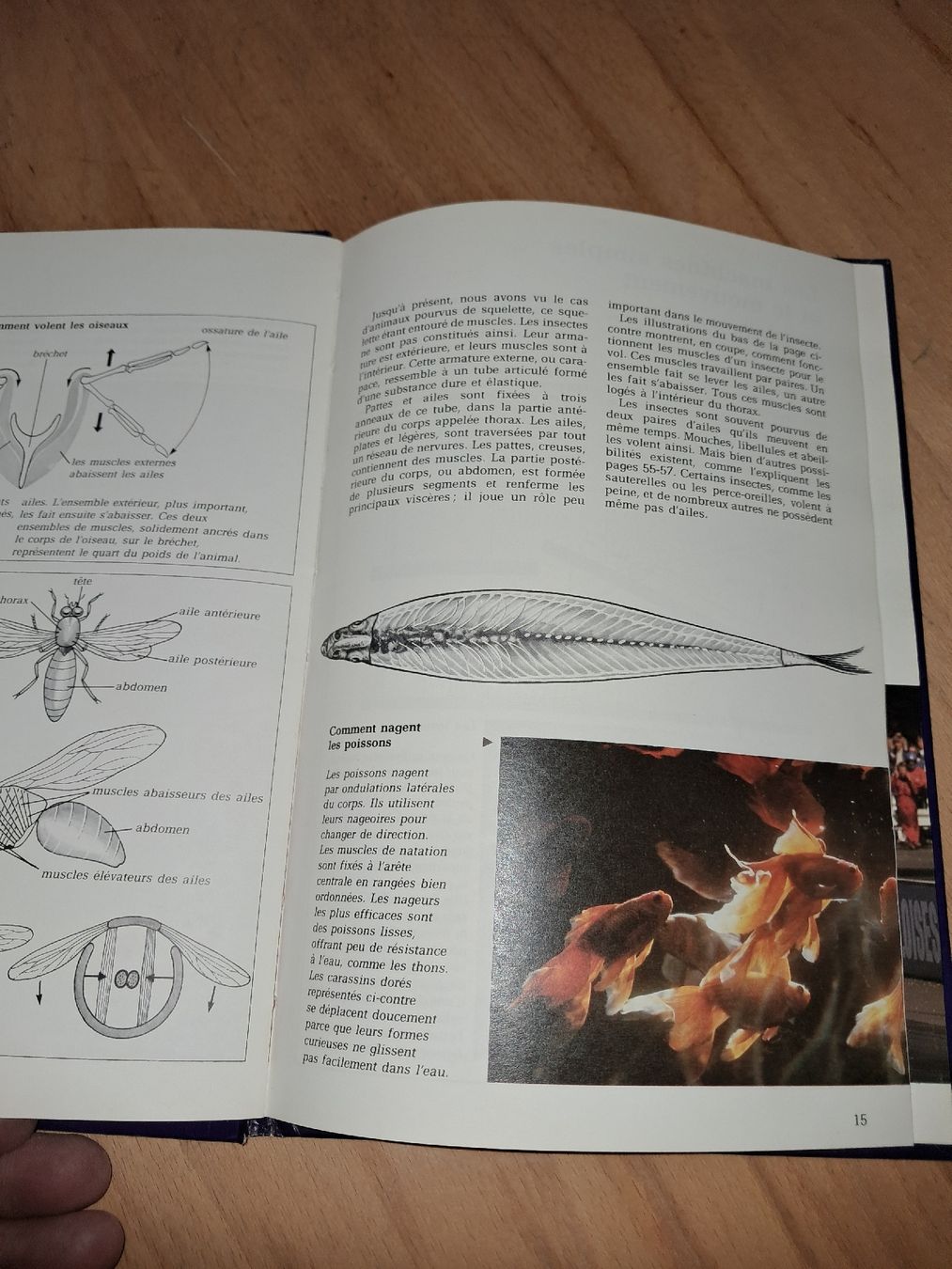 Libri: Le Mouvement collection Sciencimage, édité par Épigones – Usato da Le locle venduto da juliensaran 4
