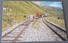 IFolor Fotopuzzle 196 Teile. Furka Kühe
