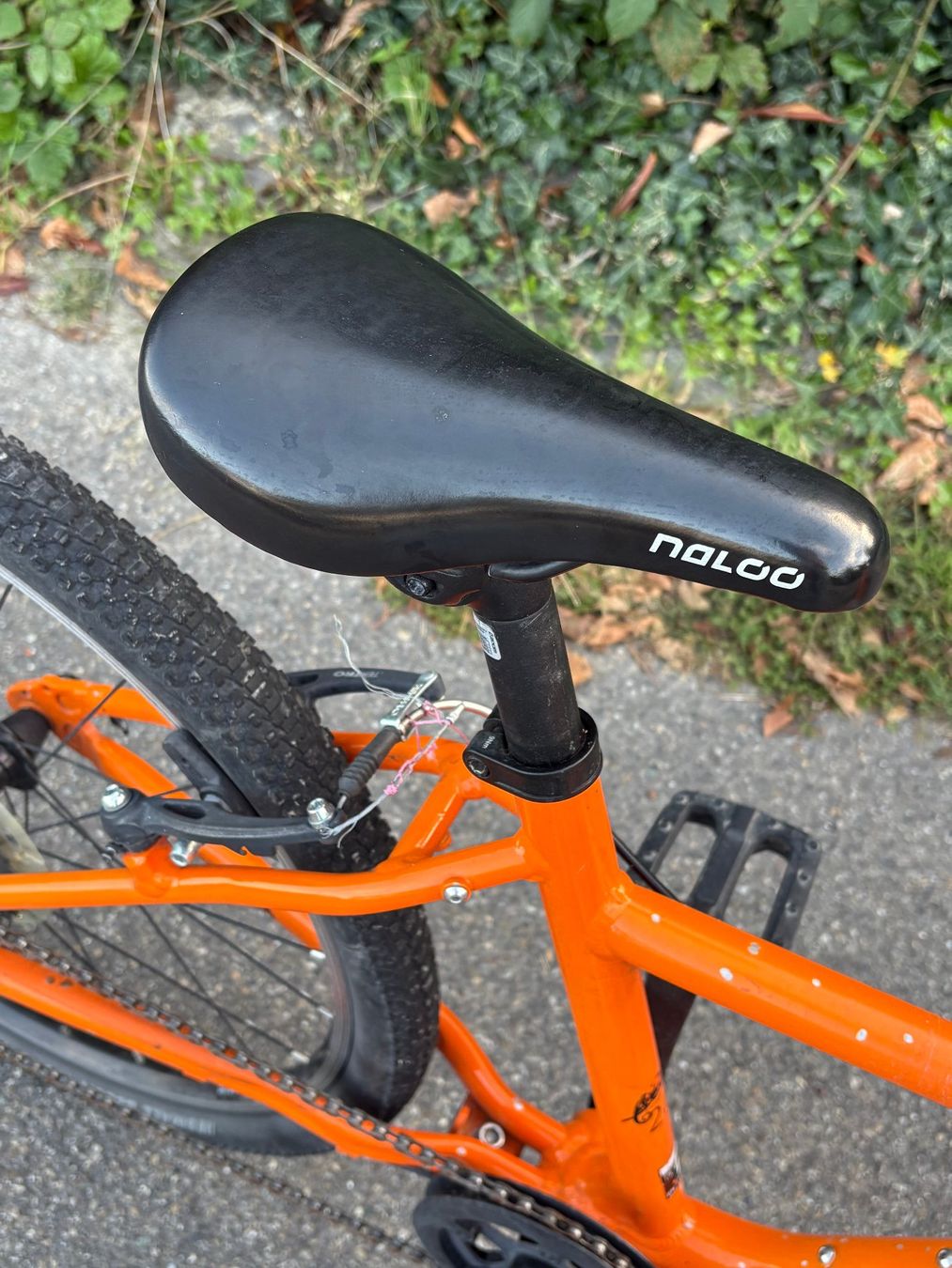 Naloo Velos: Naloo Chameleon MK2 24“ – Gebraucht aus Zürich von Gabriela_Zuerich 6