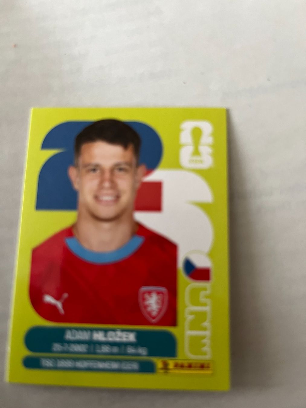 Panini Carte collezionabili: Panini World Cup 2026 – Usato da Winterthur venduto da fla_hwg8