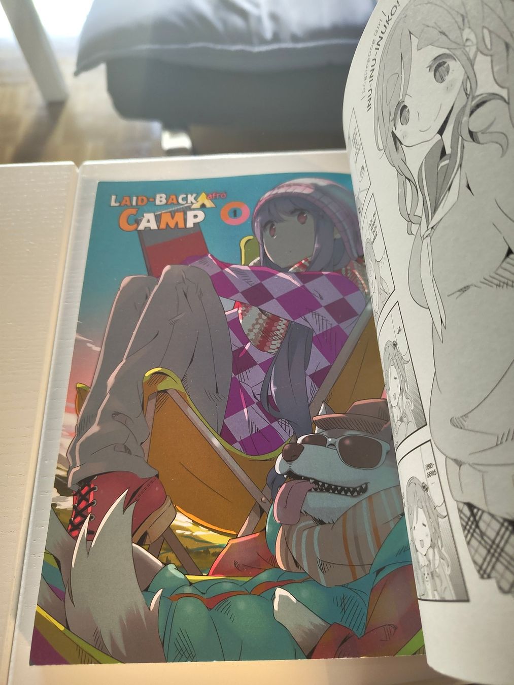 Fumetti: Manga: Laid-back Camp 1-13 – Nuovo (secondo la descrizione) da Zürich venduto da IceTea02 5