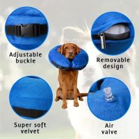Hunde-Schutz-Kragen