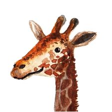 Profile image of craftygiraffe