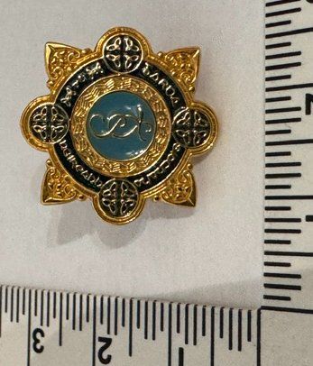 Plaketten & Abzeichen: 1 Pin Polizei  "Garda" Irland – Neu (gemäss Beschreibung) aus Zürich von Policepatch