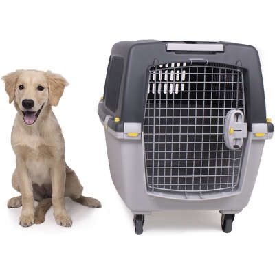 Katzentransportbox & Katzenbox günstig kaufen