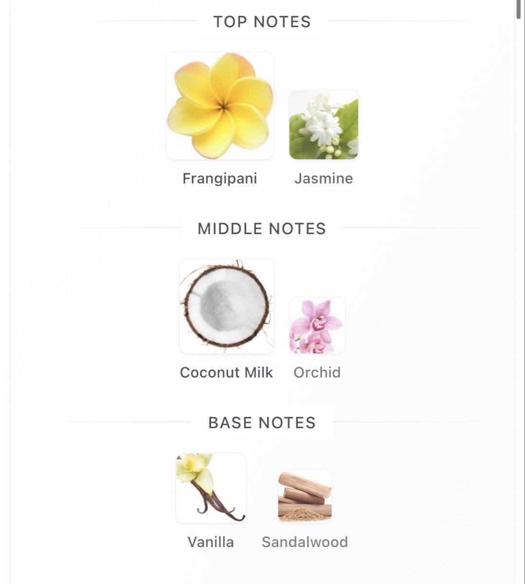 Jimmy Choo Parfum & Eau de Toilette: Jimmy Choo Rose Passion, 60ml, Eau de Parfum – Gebraucht aus Zürich von Thetimtam 4