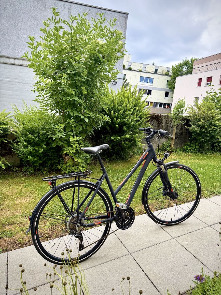Biciclette: Trekkingvelo L  – Usato da Bern venduto da ser_7vtn 2