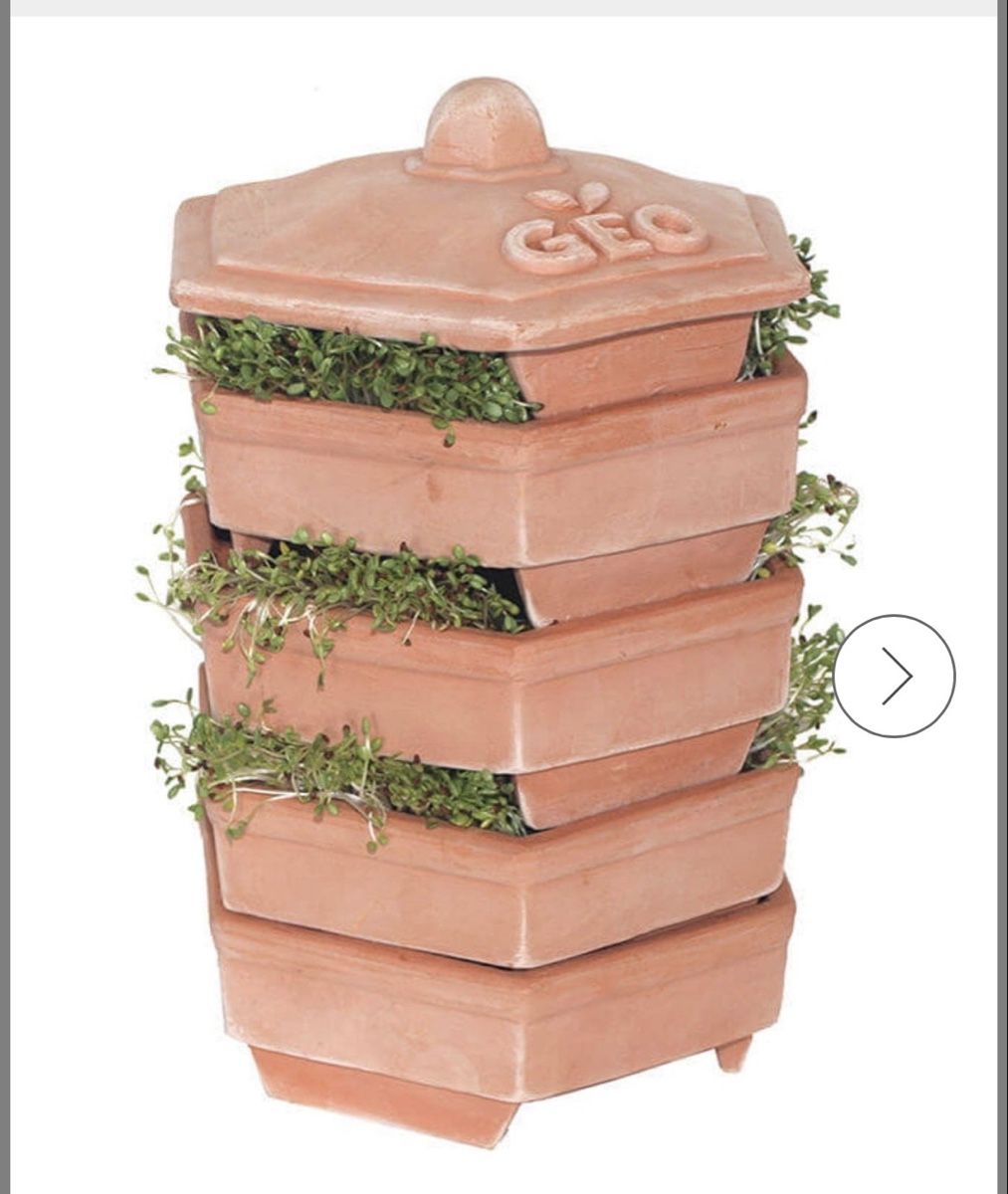 Cibi & Specialità: Sprossen Terracotta – Usato da Thun venduto da Anita036