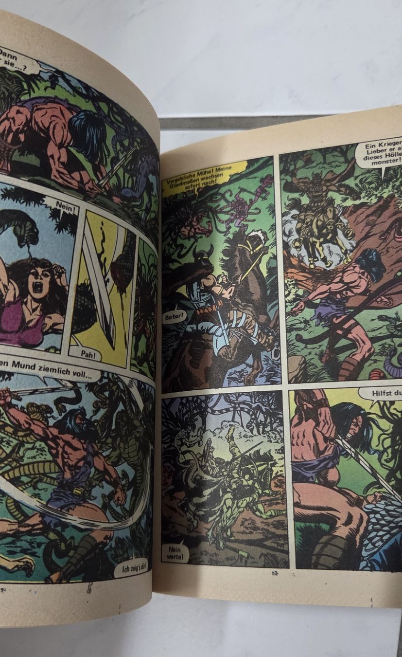 Livres: Conan Der Barbar Nr 37 & 38 Comic Taschenbuch – D'occasion à Kloten par bur_6gp9 5