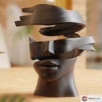 Fragmented Face Sculpture – Surreal Abstract Art - 3D Print