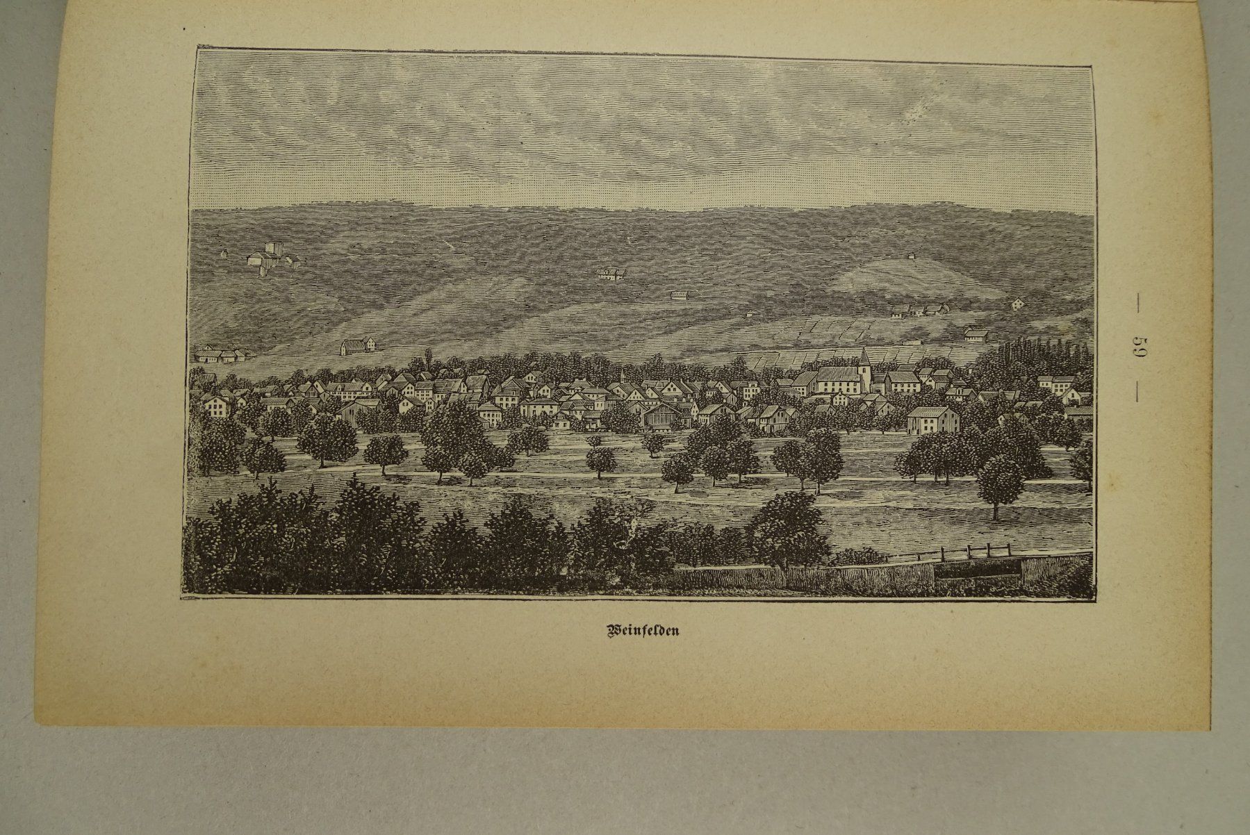 Libri: WANDERUNGEN DURCH DEN THURGAU, 1889 – Usato da Grüningen venduto da Kartensammler 4