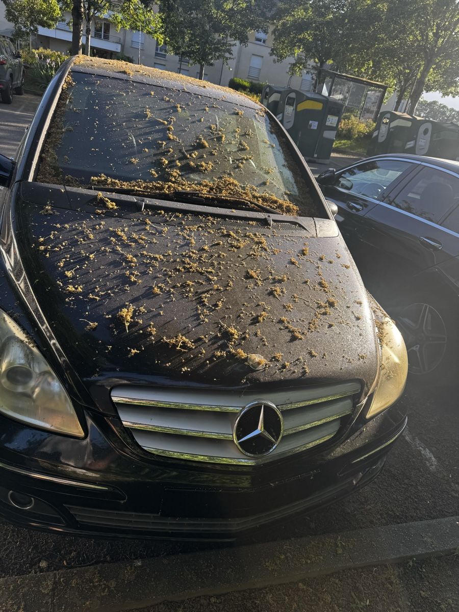 Autos: Mercedes classe B200 – Defekt aus Châtelaine von Bibaxx 3